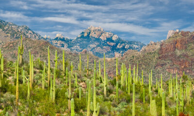 Les aventures en cascade pittoresque et les sentiers de randonnée attendent à la destination de montagne de l'Arizona