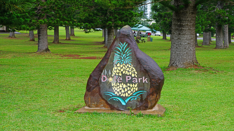 Dole Park, Lanai City