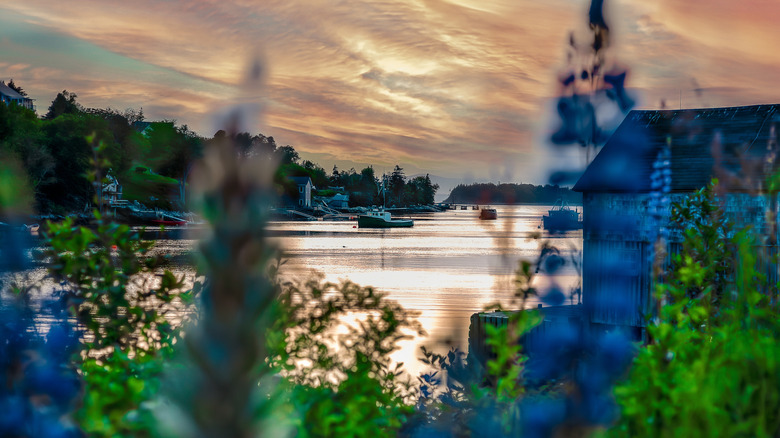 Coucher de soleil sur une entrée avec des bateaux et des maisons au bord de l'eau à Halifax, en Nouvelle-Écosse.