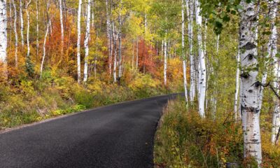 Ce parc d'État d'Utah Mountain est parfait pour une escapade de camping avec des sentiers familiaux