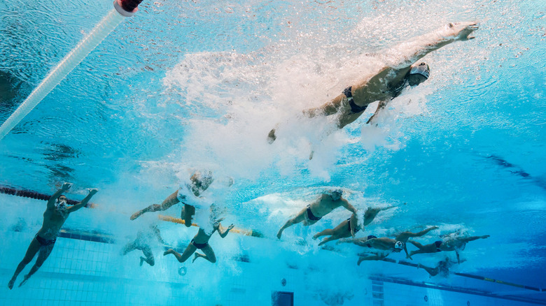 Players de polo à eau en piscine