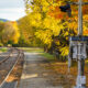 Un chemin de fer historique de New York offre une vue panoramique sur le feuillage d'automne dans les montagnes Catskill