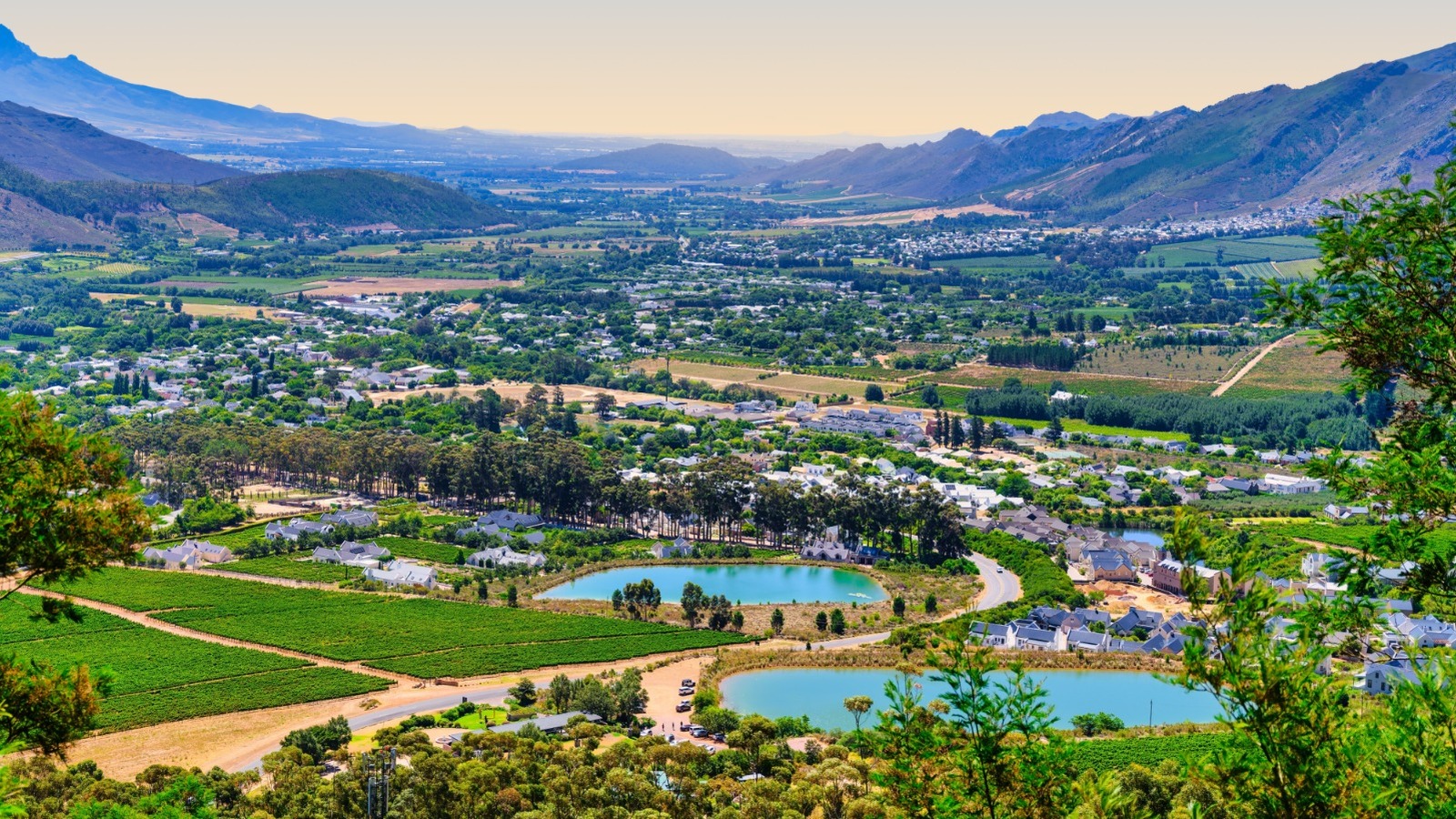 La région viticole sous-estimée de l'Afrique du Sud propose une visite unique de tramway à travers des vignobles pittoresques