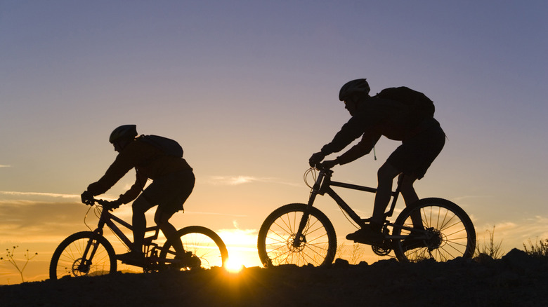 Les vététistes de silhouetted pédalent devant un coucher de soleil