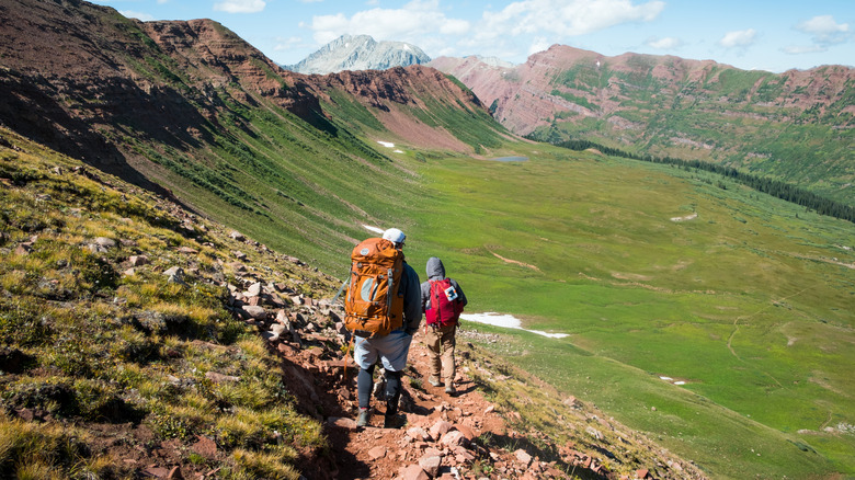 Randonneurs dans le sauvage