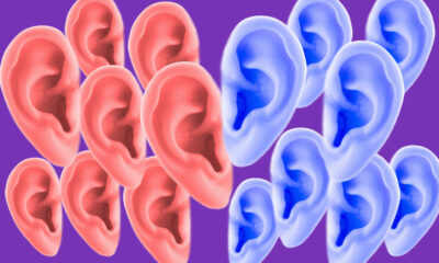 Un organe «inutile» que vous pourriez trouver sur votre oreille avait une fois un but unique