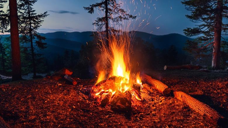 feu de camp dans la forêt