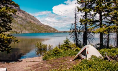 Un lac éblouissant dans la forêt nationale de Flathead propose des campings au bord de l'eau avec des paysages luxuriants