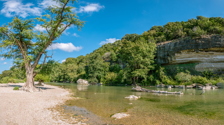 Arbres, rivière, falaise et plage