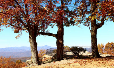 Avilez l'essence de l'automne dans une ville de Caroline du Nord qui redéfinit les aventures d'automne