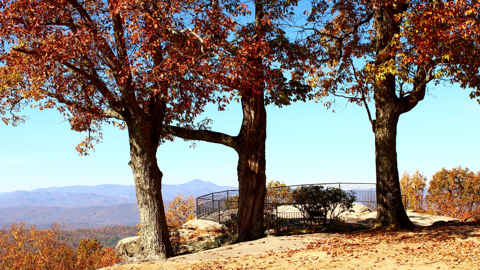 Avilez l'essence de l'automne dans une ville de Caroline du Nord qui redéfinit les aventures d'automne