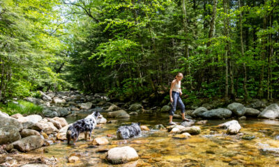 Un parc d'État sous-estimé dans les montagnes blanches du New Hampshire offre une vue de randonnée pittoresque