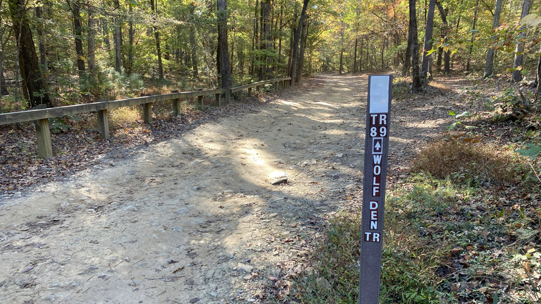 Un marqueur de sentiers dans la forêt d'État d'Uwharrie voisine