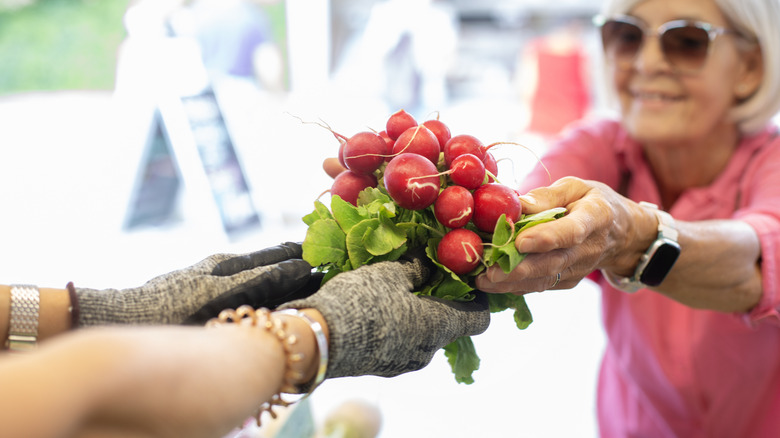 Une femme achète un tas de radis sur le marché des producteurs