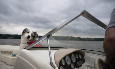 «Le meilleur secret» de Caroline du Nord est une ville charmante idéale pour une escapade relaxante au bord du lac