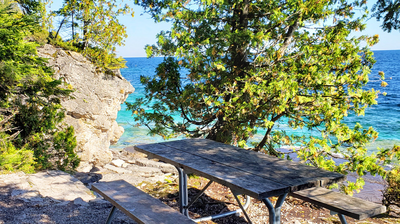Une table de pique-nique sur une falaise rocheuse entourée d'arbres regardant l'eau turquoise
