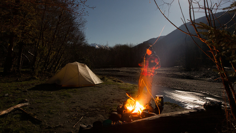 Camping dans la forêt tropicale hoh
