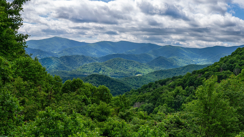 Un ciel nuageux sur des collines boisées à Roan Mountain State Park, Tennessee