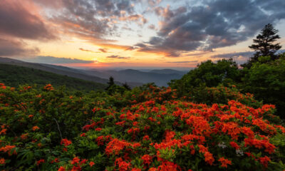 Les superbes vues de ce Tennessee State Park rivales rivales Great Smoky Mountains Parc national