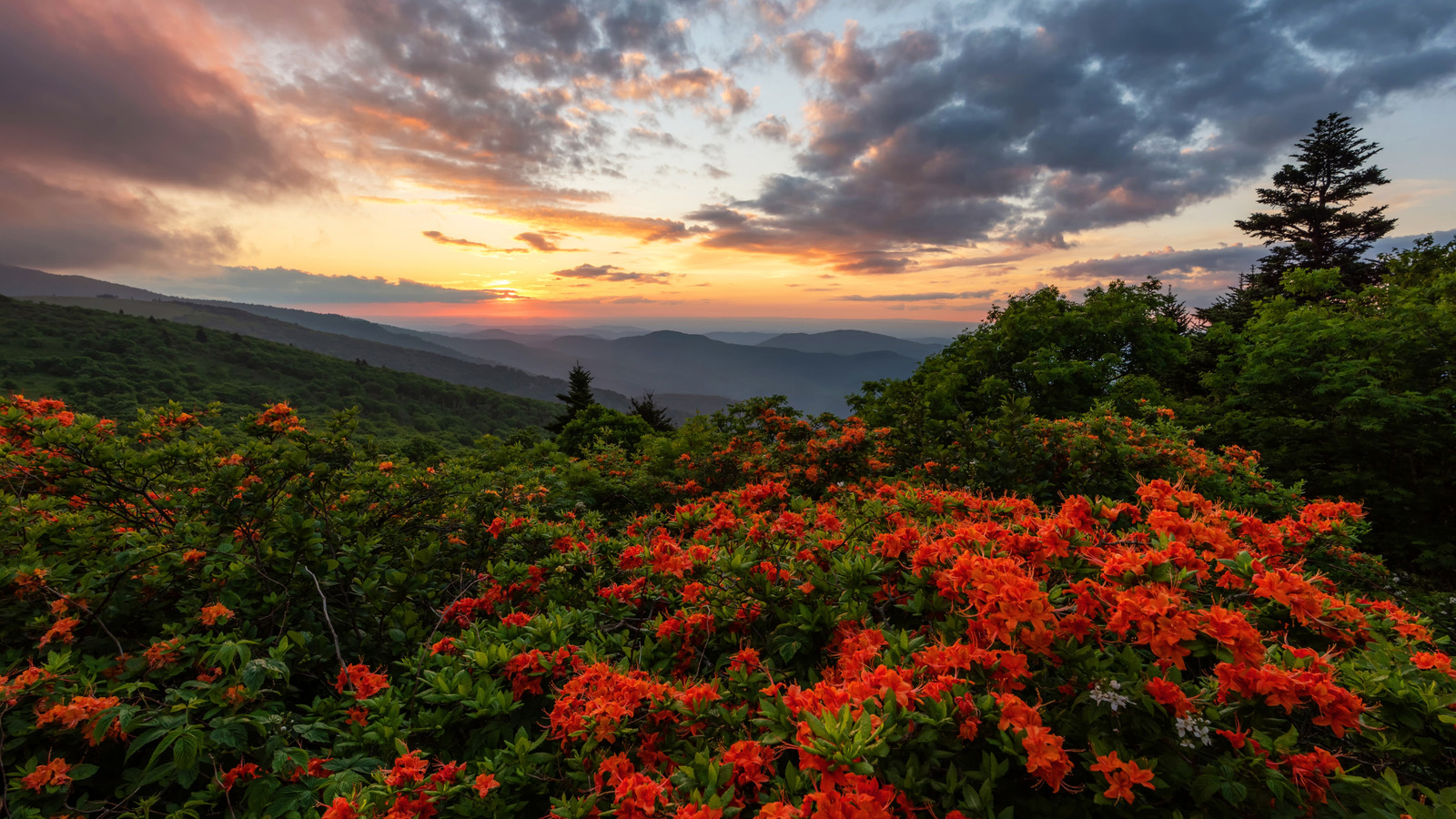 Les superbes vues de ce Tennessee State Park rivales rivales Great Smoky Mountains Parc national