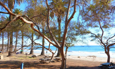 Cette magnifique plage d'État propose du camping et des loisirs le long de la côte californienne