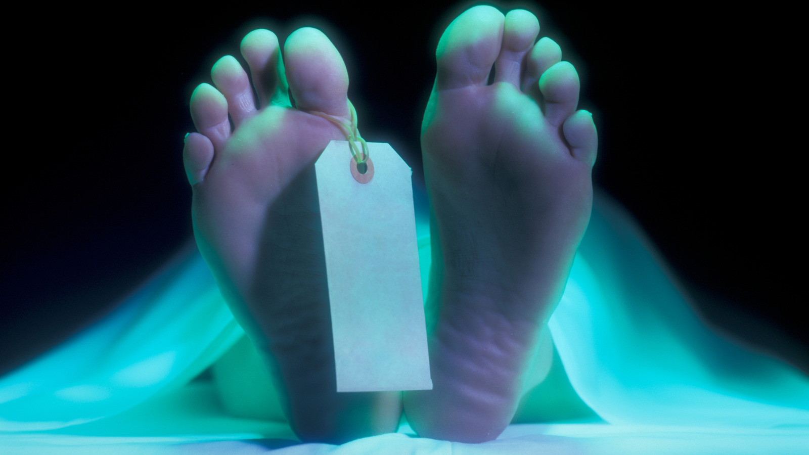 Combien de temps faut-il à un corps pour faire froid après la mort?