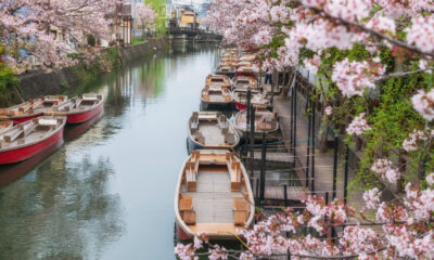 Cette ville dynamique et sous-estimée au Japon offre une expérience unique sans les foules de Tokyo