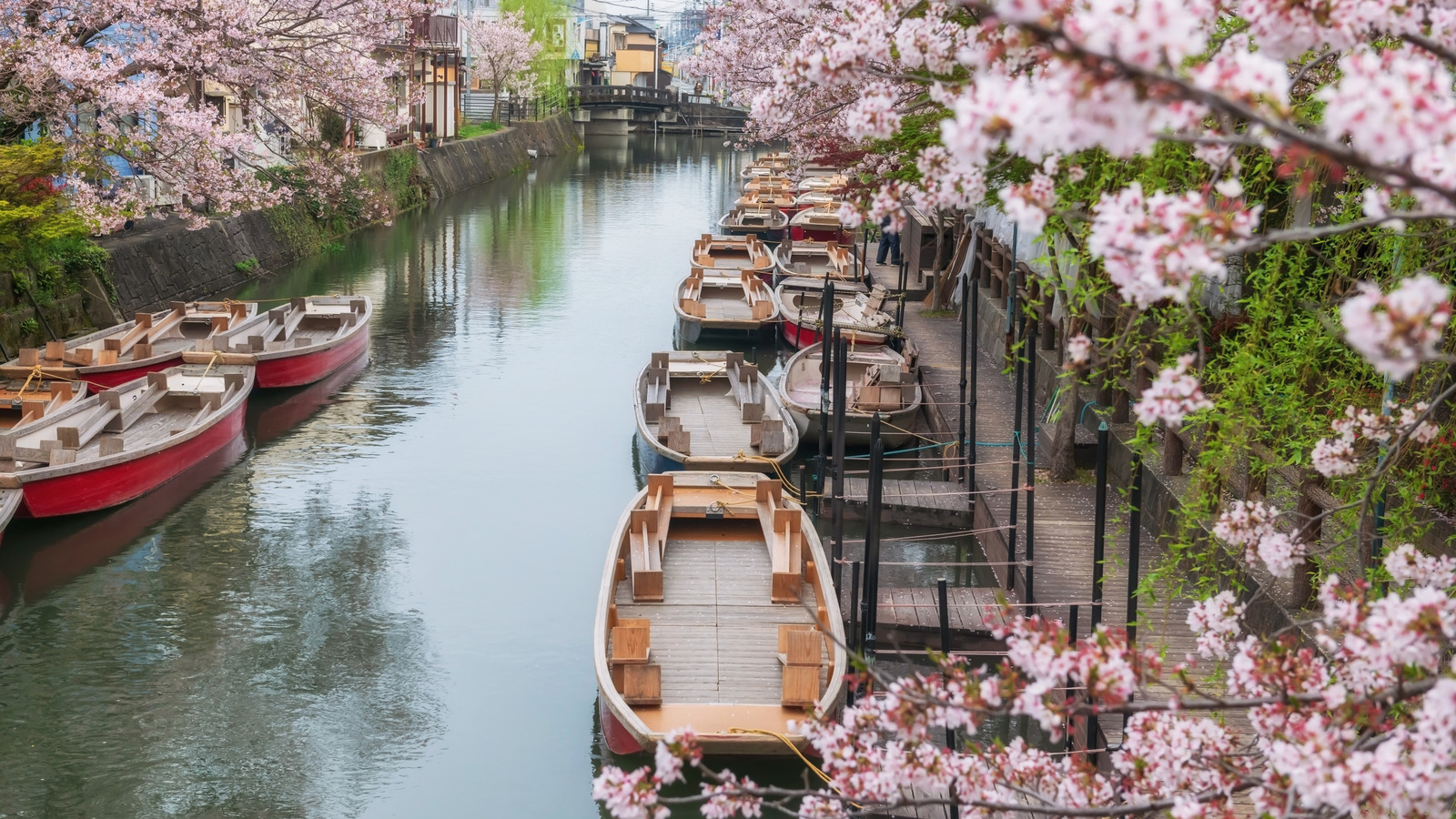 Cette ville dynamique et sous-estimée au Japon offre une expérience unique sans les foules de Tokyo