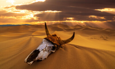 Un grand danger au parc national de Death Valley est la dernière catastrophe naturelle à laquelle vous vous attendez