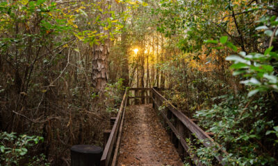 Les amateurs de plein air adoreront ce charmant sentier et loisirs de la Florida State Park
