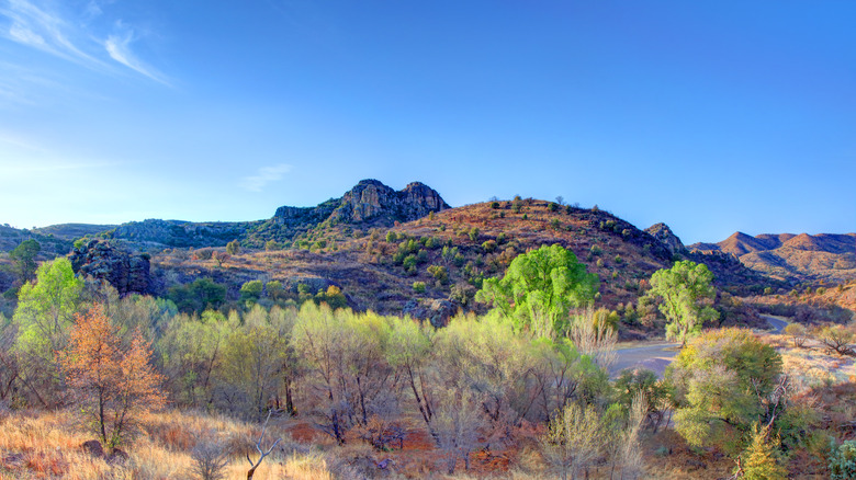 Coronado National Forest Pcenery