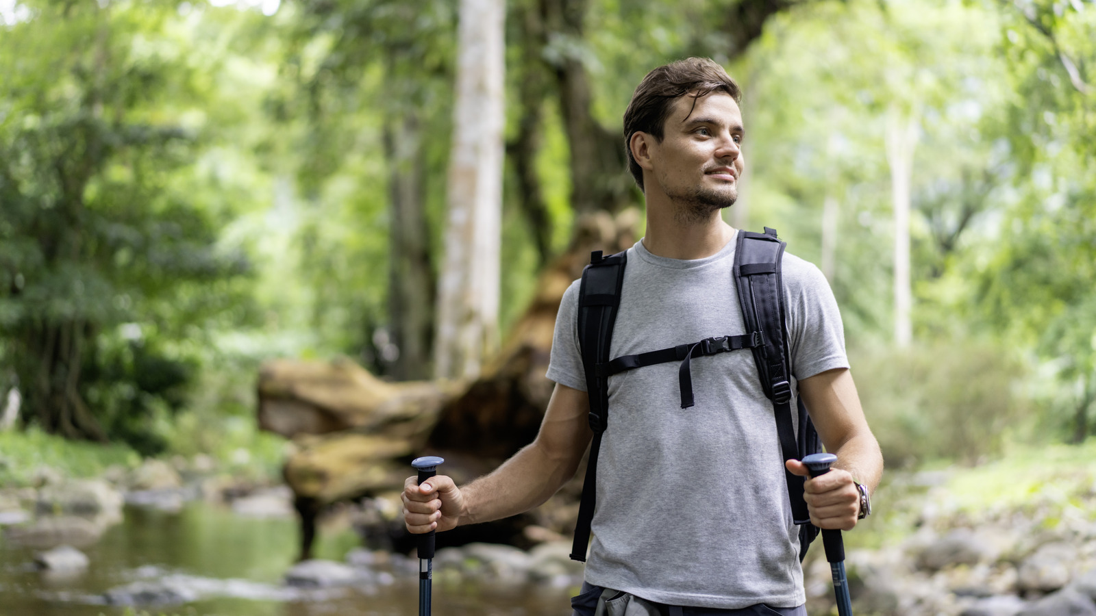 Ce terrain de camping dans la forêt nationale de Coronado en Arizona est une évasion serein avec des vibrations alpines