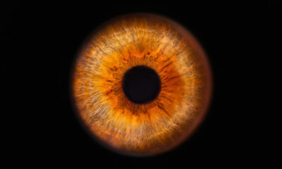 Le trait oculaire unique seulement 50% des personnes ont