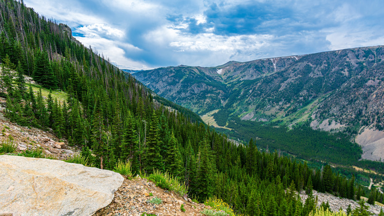 Point de vue sur l'autoroute BearTooth