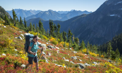 Ce magnifique sentier de randonnée à Washington pourrait être encore meilleur que Skyline de Mount Rainier