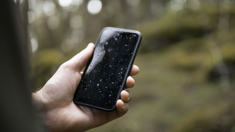 Une personne tenant un iPhone humide
