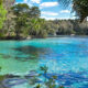 Est-ce que faire de cette forêt nationale de Floride dans un parc national conduirait-il à un surpris?