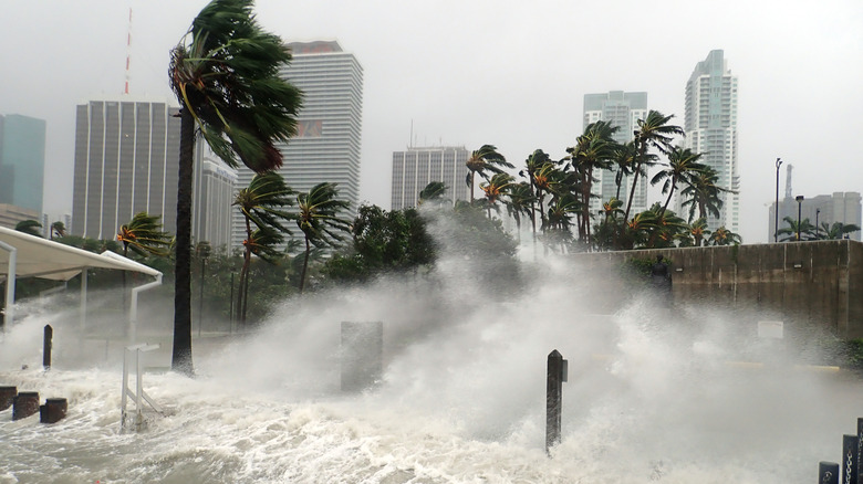 Ocean Waters inonde Miami, en Floride, pendant l'ouragan Irma