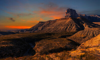 Le parc national des montagnes de Guadalupe possède un feuillage d'automne pittoresque qui vaut le voyage