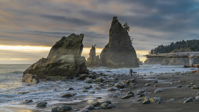 Rialto Beach à l'automne, parc national olympique