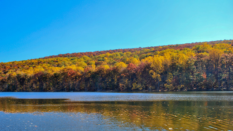Feuillage d'automne sur les arbres le long d'un lac