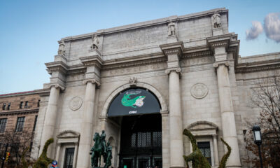 Cette impressionnante activité familiale est de retour au Museum of Natural History de New York