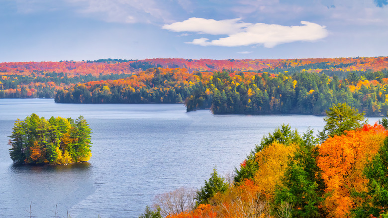 Un lac avec une petite île au milieu entouré de couleurs d'automne vives
