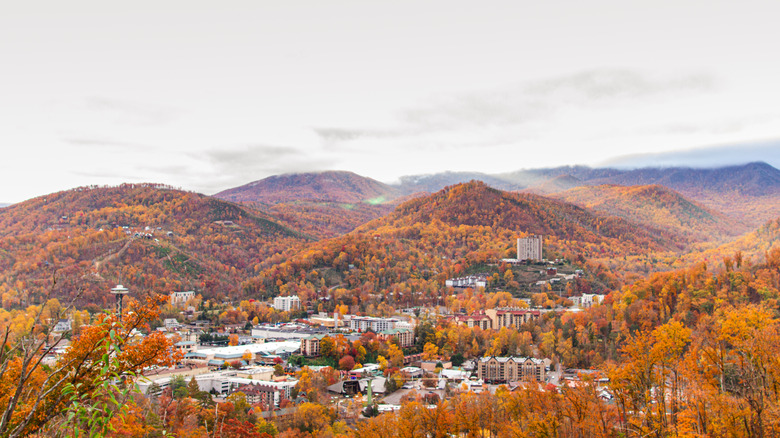 Une vue panoramique surplombant les collines recouvertes de couleurs d'automne colorées