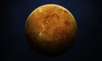 Les raisons terrifiantes La mort sur Vénus serait rapide mais atroce
