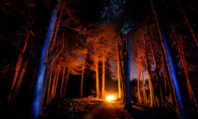 Les campeurs conviennent que l'expérience de ce phénomène dans les bois est trop étrange pour le confort