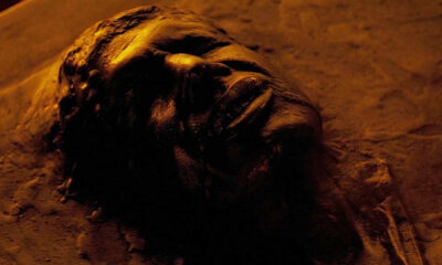 Les utilisateurs de Tiktok sont obsédés par la collection de marchandises ultra-rare de ce fan de Star Wars Fan