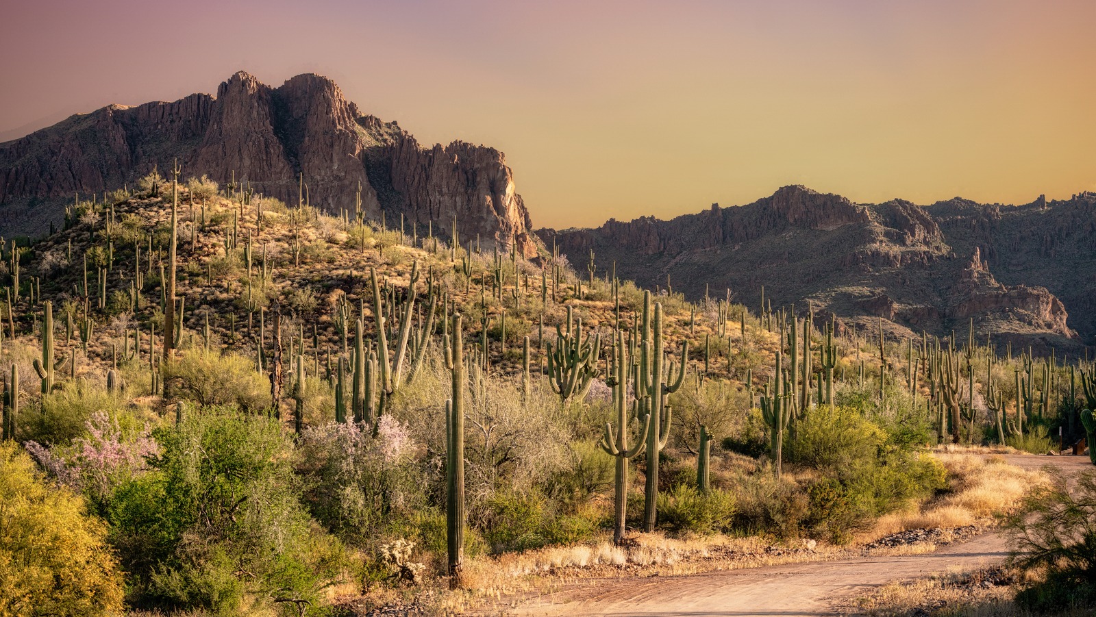 Pourquoi l'automne est l'un des meilleurs moments pour découvrir le pittoresque parc national de l'Arizona Saguaro