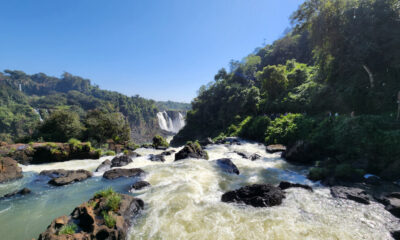 Cette espèce de poisson-chat a été surpris en train de grimper une cascade