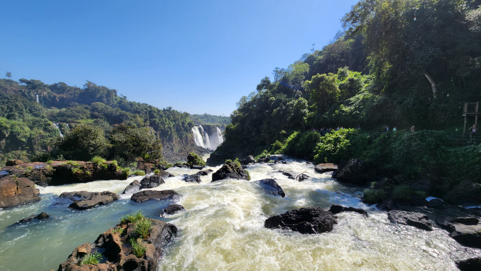 Cette espèce de poisson-chat a été surpris en train de grimper une cascade